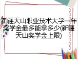 新疆天山职业技术大学一年奖学金最多能拿多少(新疆天山奖学金上限)