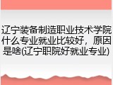 辽宁装备制造职业技术学院什么专业就业比较好，原因是啥(辽宁职院好就业专业)