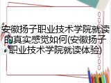 安徽扬子职业技术学院就读的真实感觉如何(安徽扬子职业技术学院就读体验)