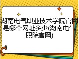 湖南电气职业技术学院官网是哪个网址多少(湖南电气职院官网)