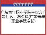 广东青年职业学院主攻方向是什么，怎么样(广东青年职业学院专长)