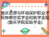 重庆资源与环境保护职业学院有哪些奖学金和助学金呢(重庆学院奖助学金)