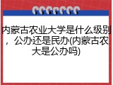 内蒙古农业大学是什么级别，公办还是民办(内蒙古农大是公办吗)