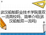 武汉船舶职业技术学院是双一流高校吗，简单介绍(武汉船舶双一流吗)