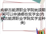 内蒙古能源职业学院就读期间可以申请哪些奖学金(内蒙古能源职业学院奖学金种类)