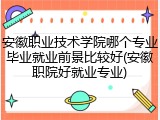 安徽职业技术学院哪个专业毕业就业前景比较好(安徽职院好就业专业)