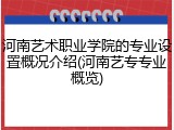 河南艺术职业学院的专业设置概况介绍(河南艺专专业概览)