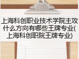 上海科创职业技术学院主攻什么方向有哪些王牌专业(上海科创职院王牌专业)
