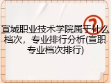 宣城职业技术学院属于什么档次，专业排行分析(宣职专业档次排行)