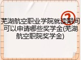 芜湖航空职业学院就读期间可以申请哪些奖学金(芜湖航空职院奖学金)