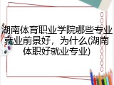 湖南体育职业学院哪些专业就业前景好，为什么(湖南体职好就业专业)