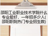 邵阳工业职业技术学院什么专业最好，一年招多少人(邵阳职院热门专业招生数)