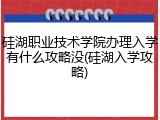 硅湖职业技术学院办理入学有什么攻略没(硅湖入学攻略)