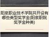 阳泉职业技术学院共开设有哪些类型奖学金(阳泉职院奖学金种类)