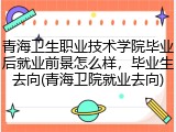 青海卫生职业技术学院毕业后就业前景怎么样，毕业生去向(青海卫院就业去向)