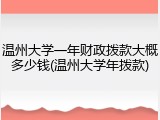 温州大学一年财政拨款大概多少钱(温州大学年拨款)