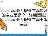 河北劳动关系职业学院最好的专业是哪个，详细阐述(河北劳动关系职业学院王牌专业)