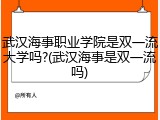 武汉海事职业学院是双一流大学吗?(武汉海事是双一流吗)
