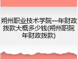 朔州职业技术学院一年财政拨款大概多少钱(朔州职院年财政拨款)