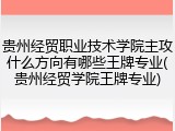 贵州经贸职业技术学院主攻什么方向有哪些王牌专业(贵州经贸学院王牌专业)