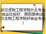 武汉生物工程学院什么专业就业比较好，原因是啥(武汉生物工程学院好就业专业)