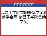 武昌工学院有哪些奖学金和助学金呢(武昌工学院奖助学金)