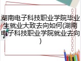 湖南电子科技职业学院毕业生就业大致去向如何(湖南电子科技职业学院就业去向)