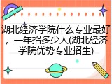 湖北经济学院什么专业最好，一年招多少人(湖北经济学院优势专业招生)