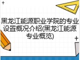 黑龙江能源职业学院的专业设置概况介绍(黑龙江能源专业概览)