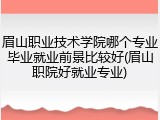 眉山职业技术学院哪个专业毕业就业前景比较好(眉山职院好就业专业)
