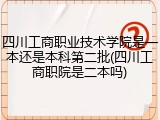 四川工商职业技术学院是一本还是本科第二批(四川工商职院是二本吗)
