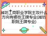 潍坊工商职业学院主攻什么方向有哪些王牌专业(潍坊职院王牌专业)