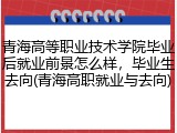 青海高等职业技术学院毕业后就业前景怎么样，毕业生去向(青海高职就业与去向)