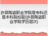 许昌陶瓷职业学院是专科还是本科院校呢(许昌陶瓷职业学院学历层次)