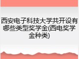 西安电子科技大学共开设有哪些类型奖学金(西电奖学金种类)
