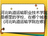 河北轨道运输职业技术学院是哪里的学校，在哪个城市(河北轨道运输学院在哪)