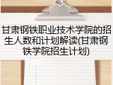 甘肃钢铁职业技术学院的招生人数和计划解读(甘肃钢铁学院招生计划)