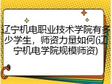 辽宁机电职业技术学院有多少学生，师资力量如何(辽宁机电学院规模师资)
