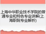 上海中华职业技术学院的普通专业和特色专业详解(上海职院专业解析)