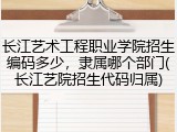 长江艺术工程职业学院招生编码多少，隶属哪个部门(长江艺院招生代码归属)
