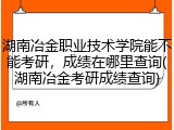 湖南冶金职业技术学院能不能考研，成绩在哪里查询(湖南冶金考研成绩查询)