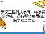 武汉工程科技学院一年学费多少钱，还有哪些费用(武工院学费及杂费)