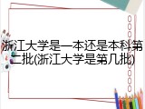 浙江大学是一本还是本科第二批(浙江大学是第几批)
