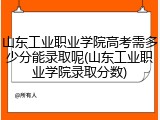 山东工业职业学院高考需多少分能录取呢(山东工业职业学院录取分数)