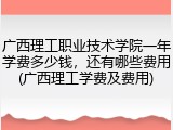 广西理工职业技术学院一年学费多少钱，还有哪些费用(广西理工学费及费用)