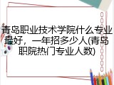 青岛职业技术学院什么专业最好，一年招多少人(青岛职院热门专业人数)