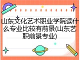 山东文化艺术职业学院读什么专业比较有前景(山东艺职前景专业)