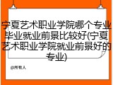 宁夏艺术职业学院哪个专业毕业就业前景比较好(宁夏艺术职业学院就业前景好的专业)