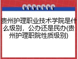 贵州护理职业技术学院是什么级别，公办还是民办(贵州护理职院性质级别)
