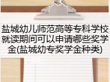 盐城幼儿师范高等专科学校就读期间可以申请哪些奖学金(盐城幼专奖学金种类)